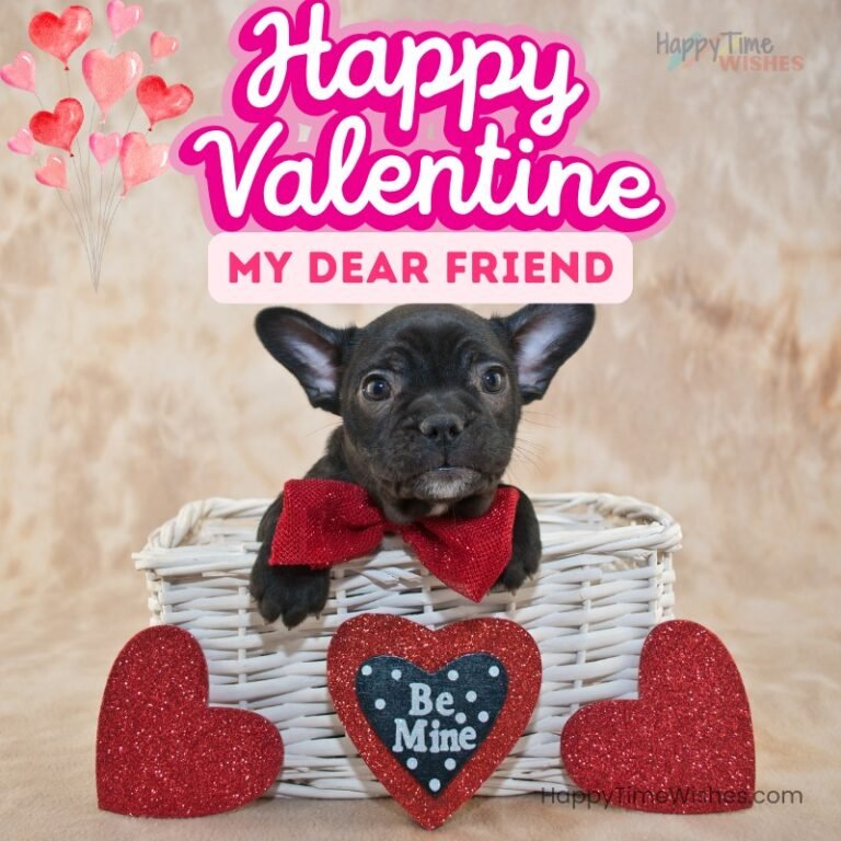 28+ Happy Valentines Day Friend Images & Wishes [Free 2025]